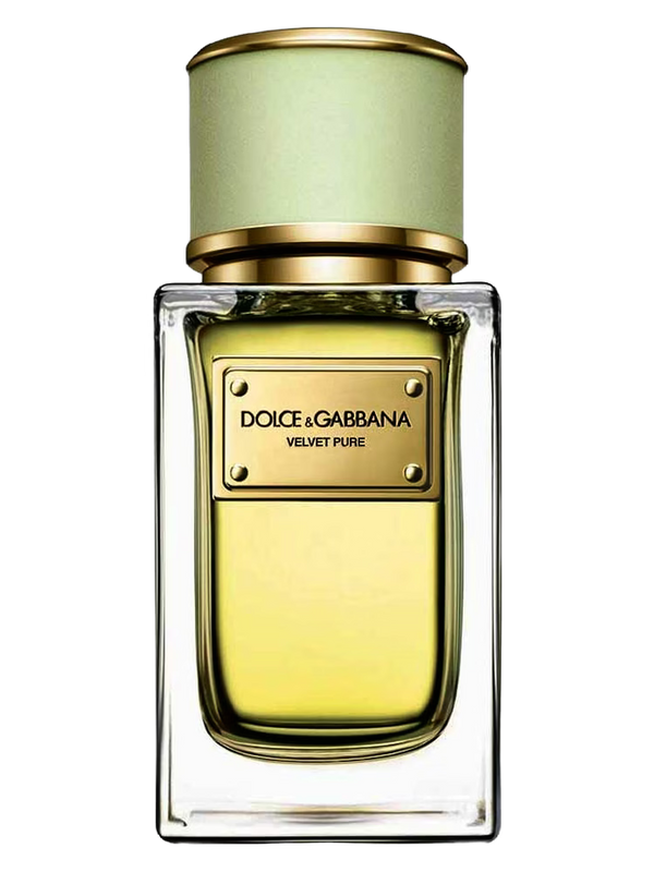 Dolce & Gabbana Velvet Pure Eau De Parfum — Perfume decant