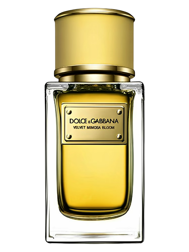 Dolce & Gabbana Velvet Mimosa Bloom Eau De Parfum — Perfume decant